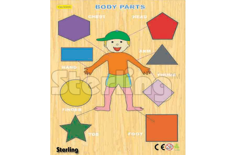 BODY PARTS-BOY