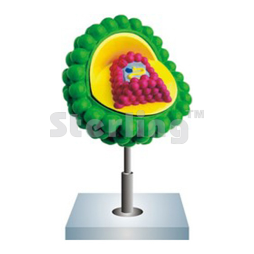 HIV AID VIRUS,