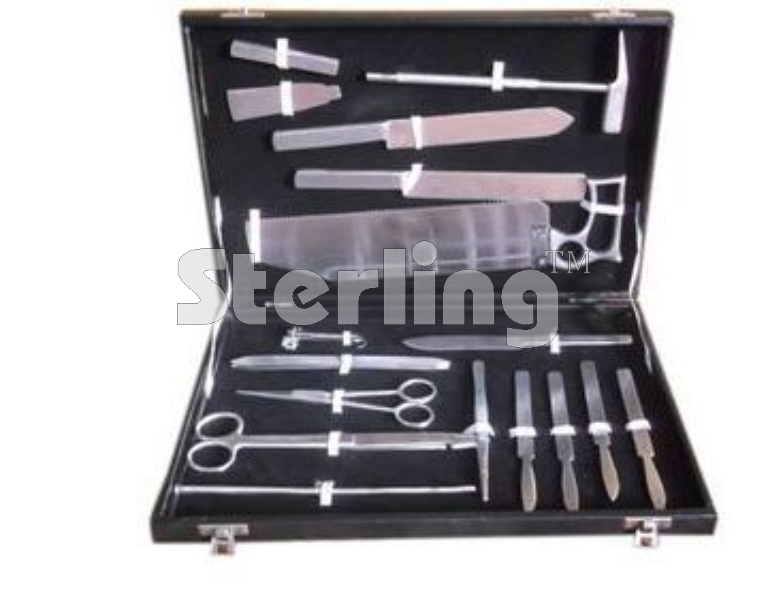 HUMAN POSTMORTEM SET