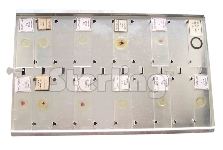 SLIDE TRAY