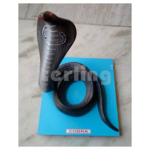 SNAKE COBRA MODEL